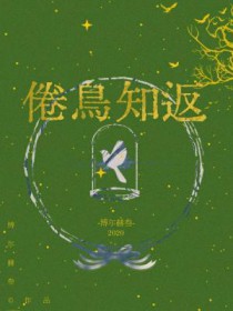 倦鸟小说